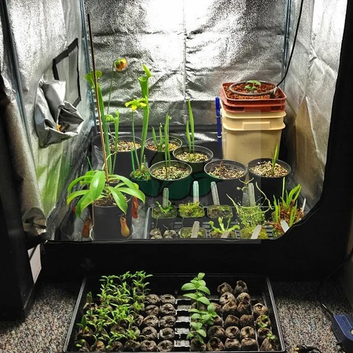 Estufa de Cultivo para Plantas, porta e janela