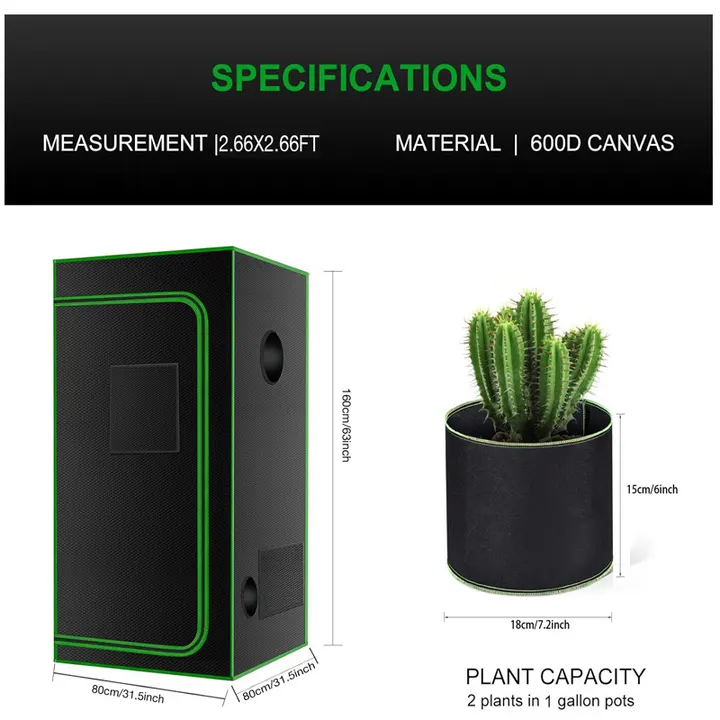 Estufa de Inverno para Cultivo, interior